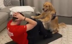 【動画】主さんのトレーニングを嬉しそうにサポートする犬が話題に「可愛いすぎ」