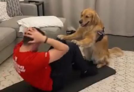 【動画】主さんのトレーニングを嬉しそうにサポートする犬が話題に「可愛いすぎ」