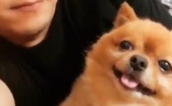 【動画】主さんの顔を真似する犬が話題「横目で確認するの可愛いｗ」
