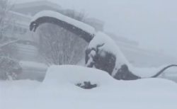 【動画】大雪の中で動く福井駅前の大恐竜達が話題に「氷河期かな・・」