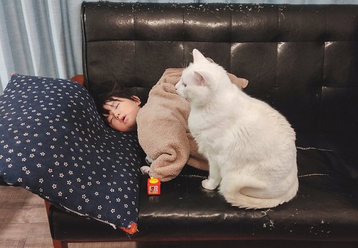 【けなげ】落ちないように‥ソファーで眠った子の傍でじっと動かない猫が話題に