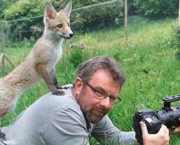 動画 海外のカメラマンに寄ってきてしまう野生動物たち 可愛すぎる Break Time