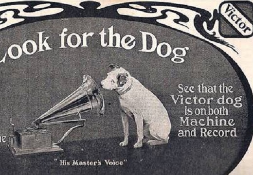 【ｗ】ビクターのあの犬、想像とかなり違う動画が話題に「過激すぎるｗ」