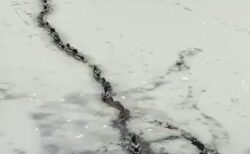 【凄い】凍った池の上を1列で大移動するカモの大群が話題に「ずっと見てられる」