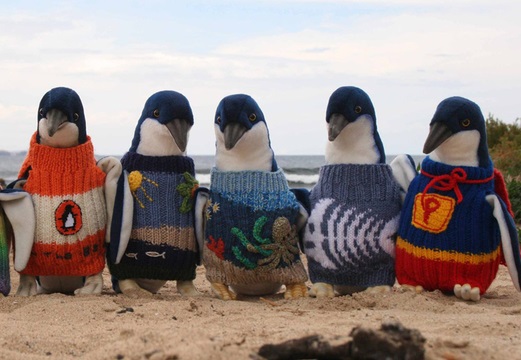 ペンギンのセーターを編むおじいちゃんと、セーターを着たペンギン、可愛いすぎる