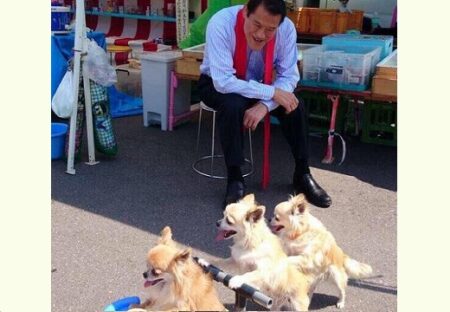 【ｗ】チワワ3匹を笑顔で見つめるアントニオ猪木さん、素敵すぎる写真が話題に
