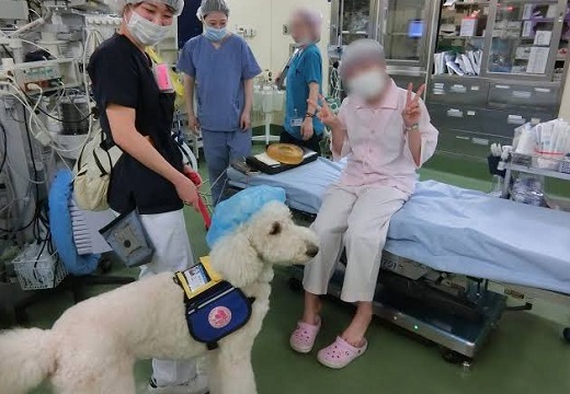 【癒やしのプロ】大学病院に勤務するセラピー犬が話題に「泣いちゃう」