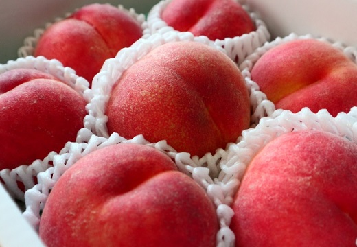 【若手農家さんの努力】今年の福島の桃が激ヤバに美味しい理由を桃農家の身内が暴露！