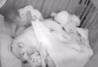 【動画】犬に毛布をかけてあげる赤ちゃんと、じっと寝たふりする犬。可愛いすぎｗ