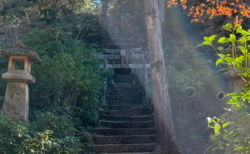 【衝撃画像】宮島で精霊が発見されたか！