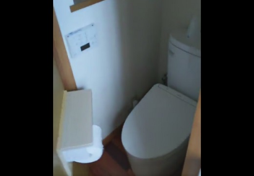 【職人技】「トイレ狭っ！」から一転！天才的なドアを持つトイレが話題に