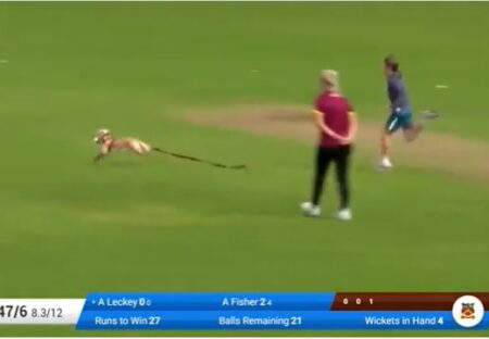 【動画】クリケットの試合に乱入した犬、キャッチしたボールを捕手に届けるｗ