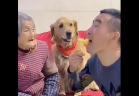 【爆笑】おばあちゃんが大好きな犬、愛が深すぎるｗｗｗｗｗｗｗｗｗｗｗ