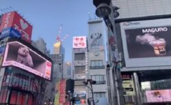 【すげぇｗ】新宿東口の3Dネコが進化！向かいのビルのビジョンと連動！