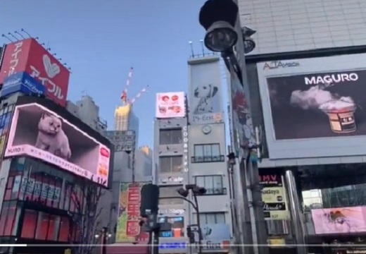 【すげぇｗ】新宿東口の3Dネコが進化！向かいのビルのビジョンと連動！