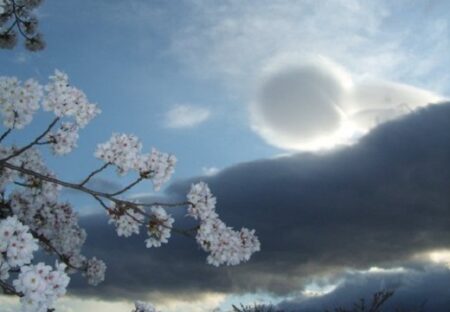 【激レア】「神社に行ったら・・」撮影された球状の雲がすごい！