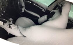 【画像たくさん】大雪の翌朝「うわぁぁ！車の窓を閉めてなかった!!!」という方々ｗｗ