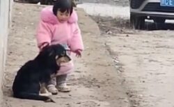 【動画】犬が爆竹の音に怯えてる事に気づいた少女、そっと耳を塞いであげる
