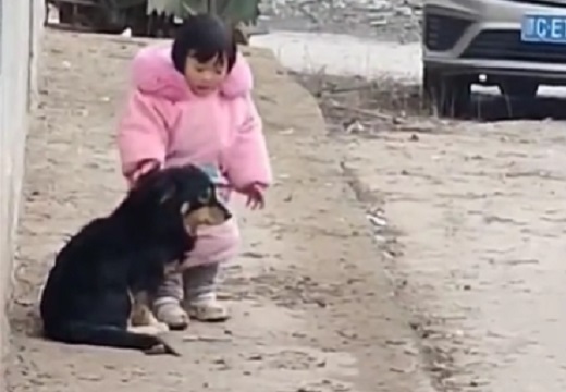【動画】犬が爆竹の音に怯えてる事に気づいた少女、そっと耳を塞いであげる