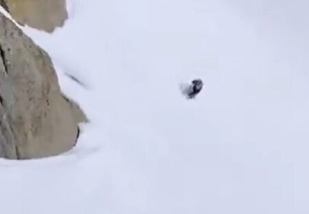 【飛んでる？！】雪山を駆け降りるヤギのスピードが想像以上だったｗｗｗｗｗｗ