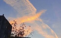 【凄っ】大空を舞う不死鳥のような雲が撮影される