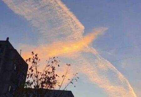 【凄っ】大空を舞う不死鳥のような雲が各地で撮影される