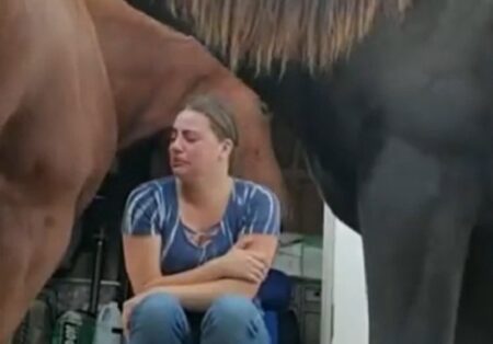 【泣いた】厩舎の女性が悲しんでる事に気づいた馬、行動がイケメンすぎる