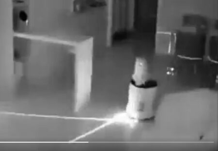 【ｗ】深夜に撮影されたルンバに乗る猫が話題に「宇宙人かと思った！」