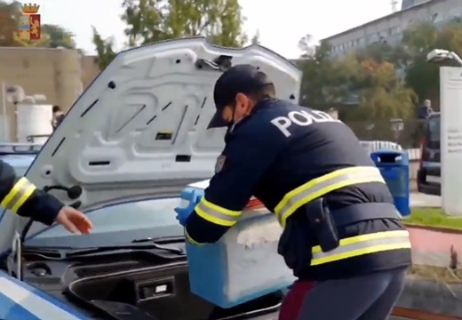【凄！】イタリア警察、移植用の腎臓をランボルギーニ爆速で届ける