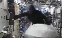 【爆笑】ISSにこっそりゴリラスーツを持込んだ宇宙飛行士さん、突然ゴリラ姿で徘徊ｗ