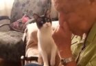 【ちょいちょい】ろくろの前で湯呑作りを手伝う猫、熟練の手つきｗｗｗｗ