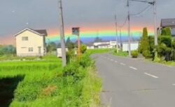 【激レア】地平線ギリギリに現れた虹！神秘的な光景にネット騒然！