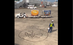 【感動】まるでディズニー！鹿児島空港の整備士がハロウィンサプライズをぶちかます（ほっこり）