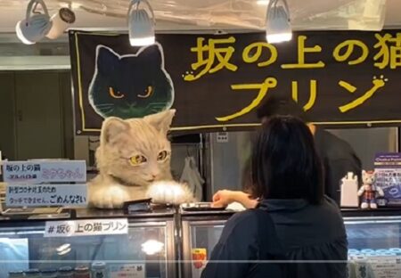 【！】リアルな猫きぐるみが接客するプリン屋さんが話題に！動きまでカワイイｗｗｗｗ