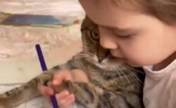 【動画】幼女の塗り絵につきあう猫の表情ｗｗｗｗｗｗｗｗ