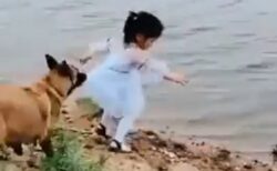 【泣いた】傍にいた犬、川にボールを落とした少女を引き倒して自ら水に入り取りに行く