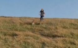 【うわー!!!】2匹の犬の散歩がいかに大変かよく分かる動画が話題にｗｗｗｗ