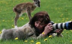 【！】カメラマンに寄ってきてしまう野生動物たち、可愛すぎる