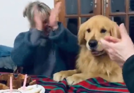 【ウッキウキ】家族に誕生日を祝ってもらいはしゃぐ犬、本当に幸せそう！