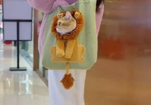 【え！？】猫がライオンになりながら大人しく入ってくれる鞄、可愛いｗｗｗｗ