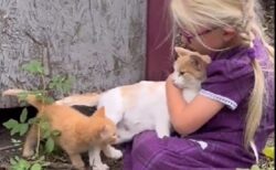 【動画】自分の子猫を少女に紹介する母猫の様子がたまらなく可愛いｗ