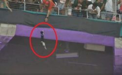 【！】スタジアムで落ちそうになってる猫、大観衆が見守るなか無事キャッチされる