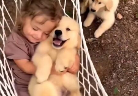 【癒】ハンモックに揺られる子犬と幼女、ふたりの笑顔が最高すぎる