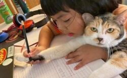 (ΦωΦ) 女児の宿題に付き合う猫！表情がたまらんｗｗｗｗ