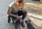 【！】優しい飼育員のお姉さんに抱っこされたいコアラたち、順番守って可愛いｗ