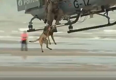 【動画】浮遊するヘリコプターから飛び降りて標的に向かう警察犬、すごすぎ！！