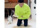 【動画】飼い主が倒れた(フリをした)時の猫の反応と犬の反応が話題にｗ