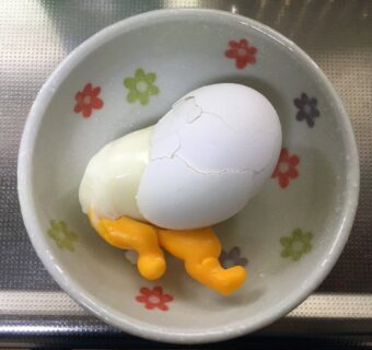 ゆで卵を作ったら偶然！！！とんでもない生物が完成してしまう・・・・・