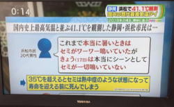 【猛暑】セミの声が少ない理由「35℃超えると熱中症のようになり早く死んでしまう」