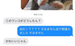 【ｗ】「間違えて上司に子犬画像を送ってしまったー!」→上司さんの反応が話題に